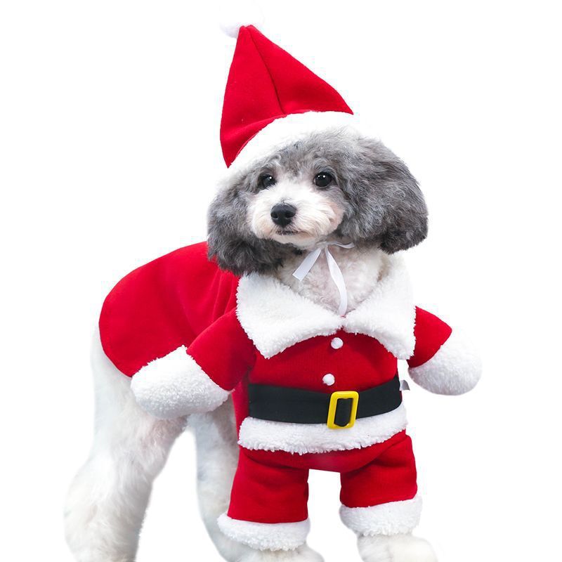 Christmas Pet Standing Costume